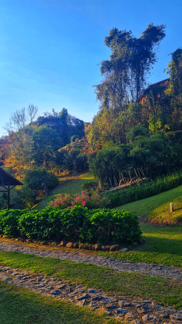 WhatsApp Image 2025-10-17 at 13.50.13 (1)