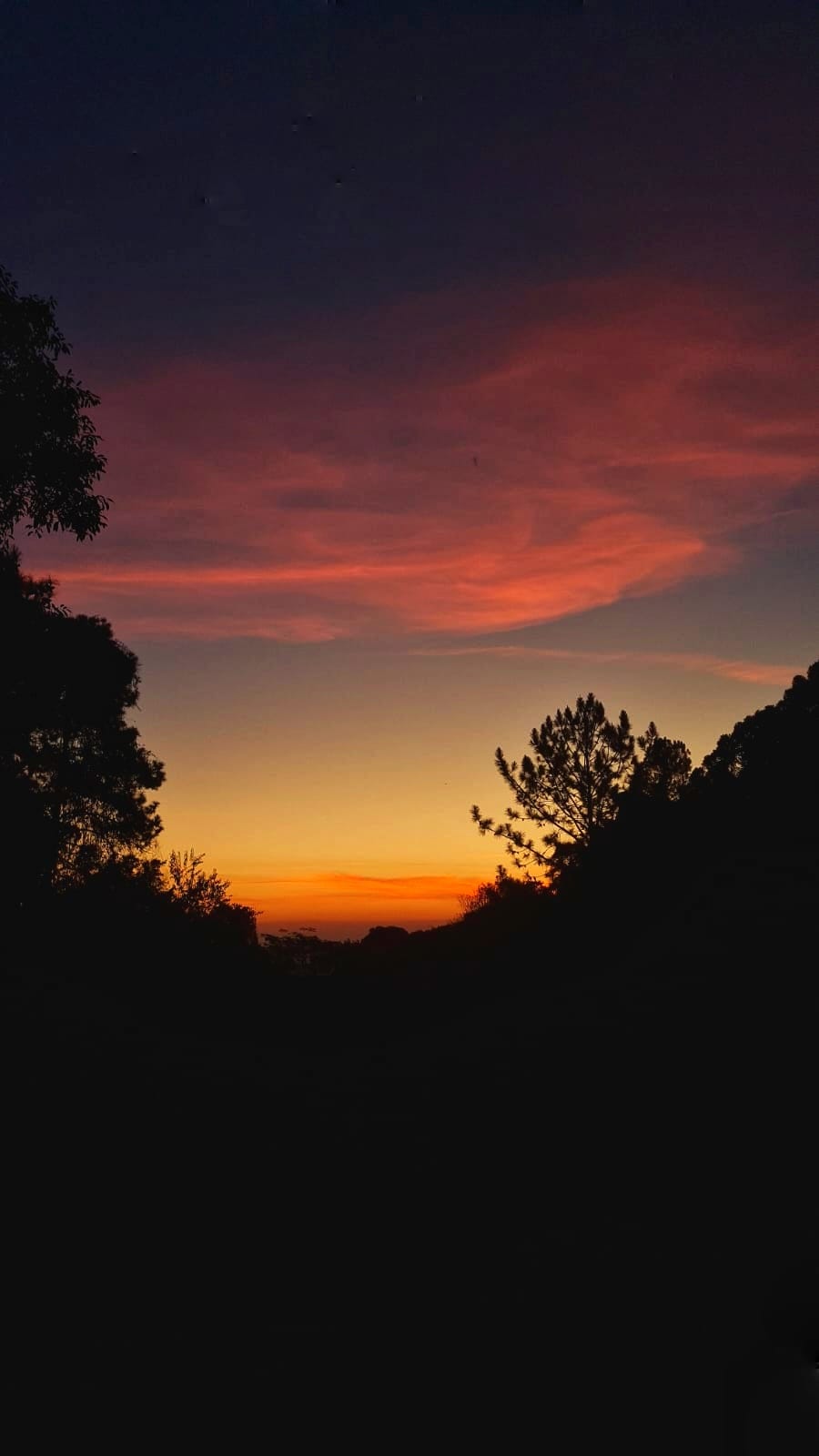 WhatsApp Image 2025-10-17 at 13.51.14