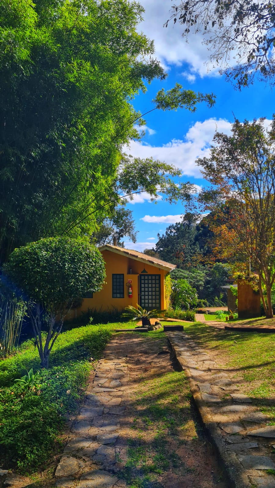 WhatsApp Image 2025-10-17 at 13.51.24